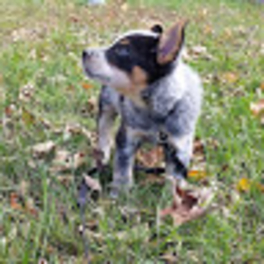 Meet your Posher, Victoria